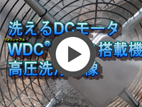 WDC⡼ܵⰵ